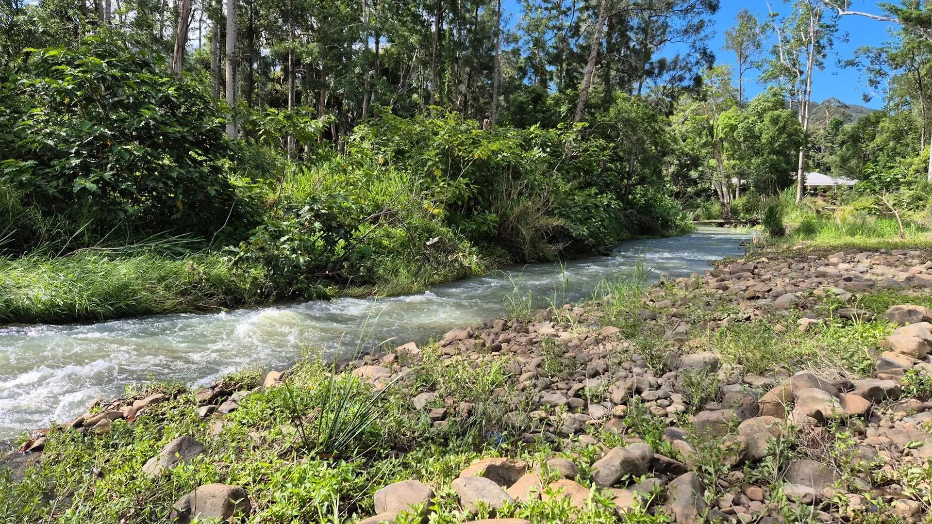 Luxury tent Reset Tallebudgera Valley