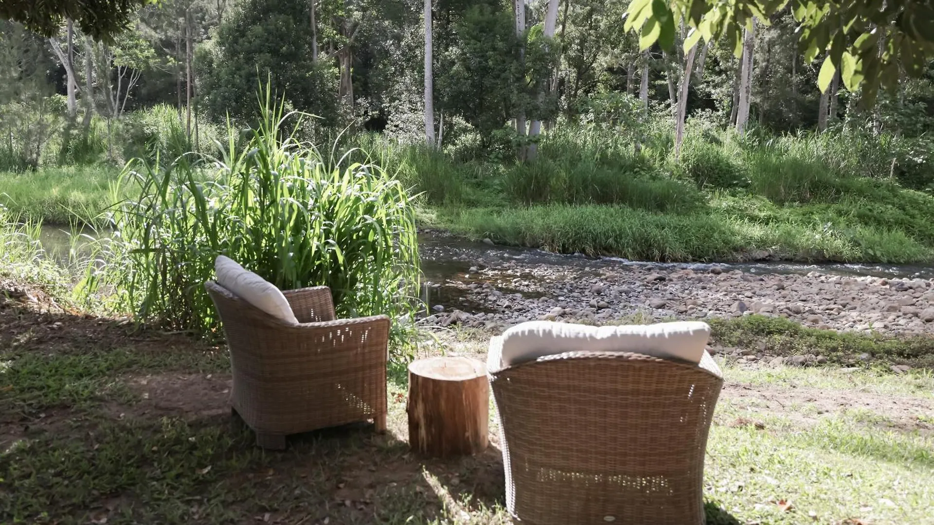 Reset Tallebudgera Valley